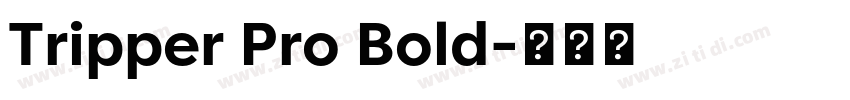 Tripper Pro Bold字体转换